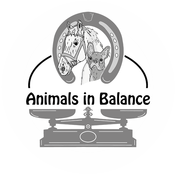Animals in Balance | Logo